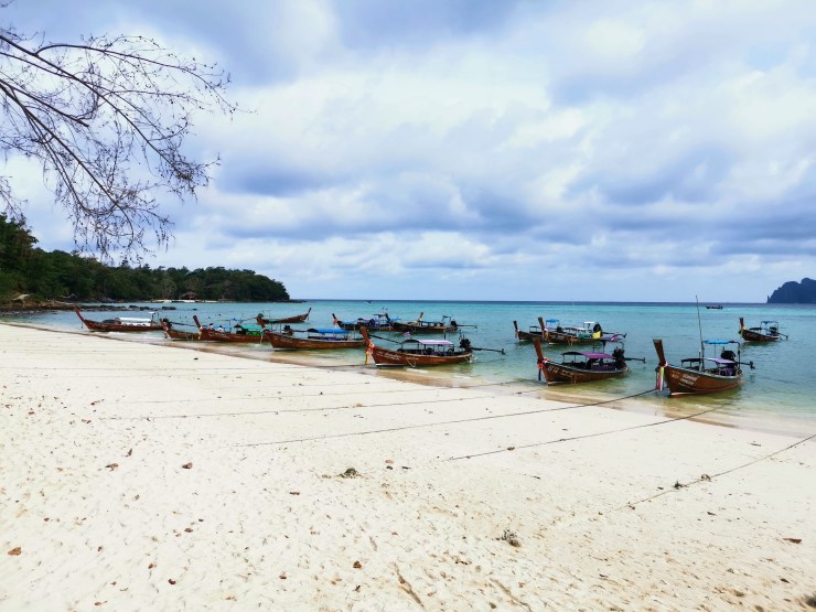 Phi Phi Adası long tail boat